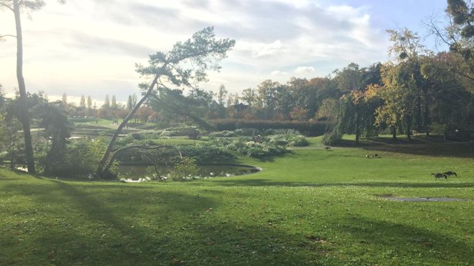 Le parc Floral de Paris est situé au cœur du Bois de Vincennes. Il s’étale sur plus de 30 hectares et est réputé pour ses collections florales (8 collections labellisées). © Léna Hespel